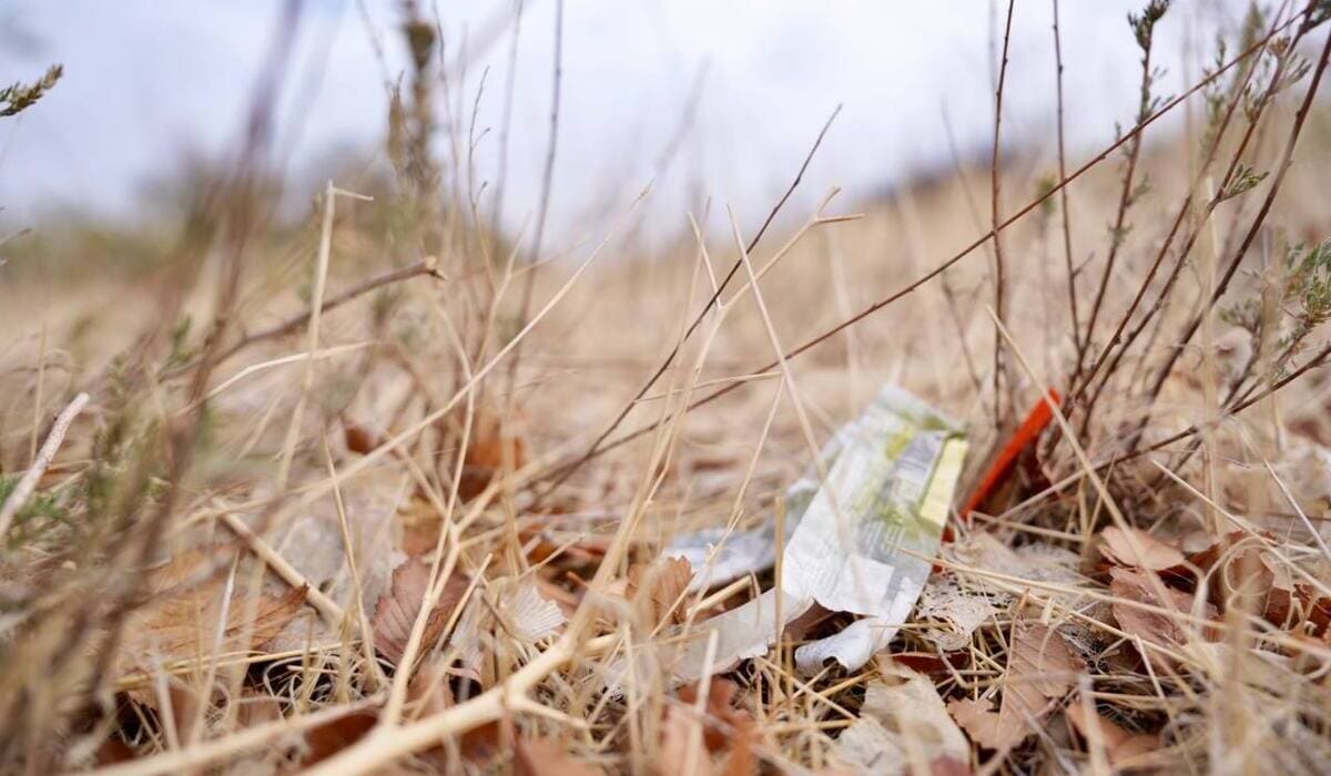 Максимумдағы жалаңаш коллиен фернандес